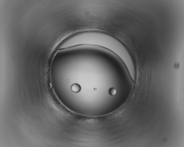 X0000113230156200909241531