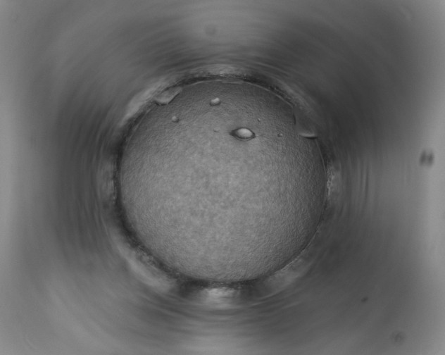 X0000113230158200909241531