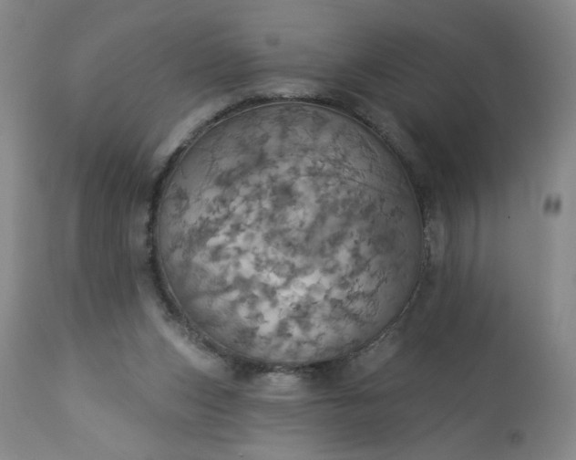 X0000113230159200909241531