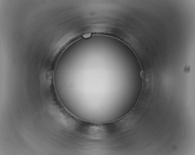 X0000113230160200909241531