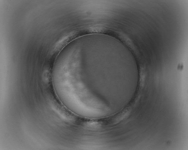 X0000113230161200909241531