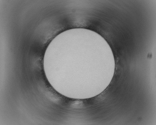 X0000113230162200909241531