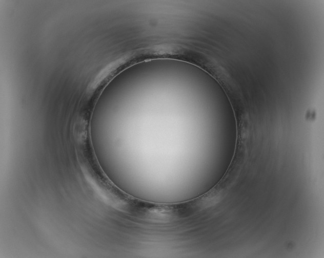 X0000113230164200909241531