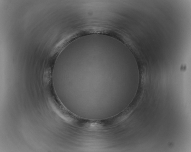 X0000113230165200909241531