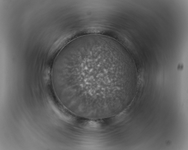 X0000113230166200909241531