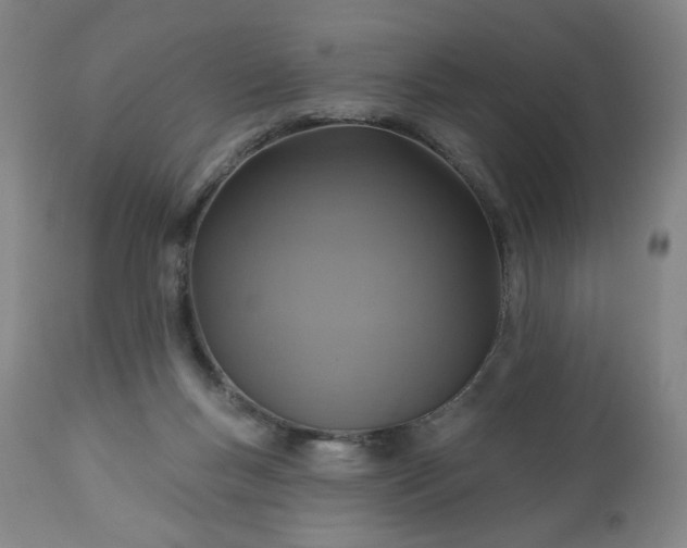 X0000113230167200909241531