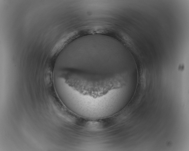 X0000113230169200909241531