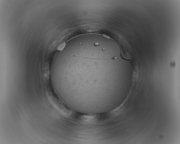 X0000113230170200909241531