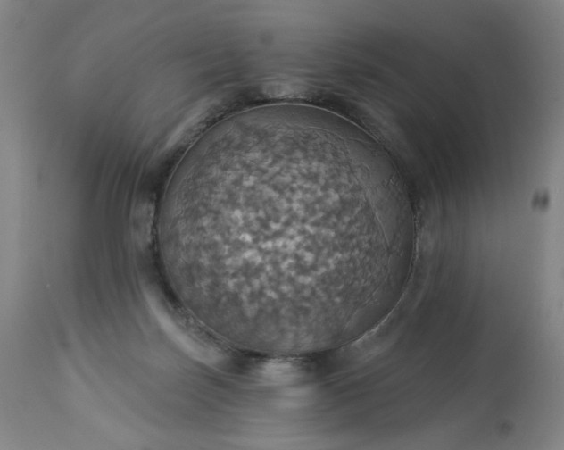 X0000113230171200909241531