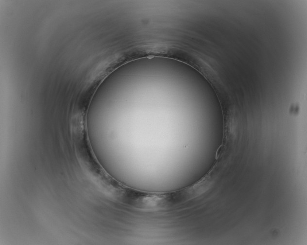 X0000113230172200909241531