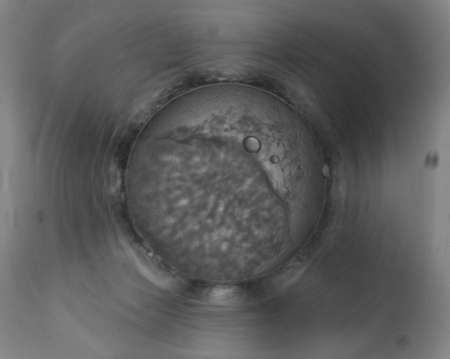 X0000113230173200909241531