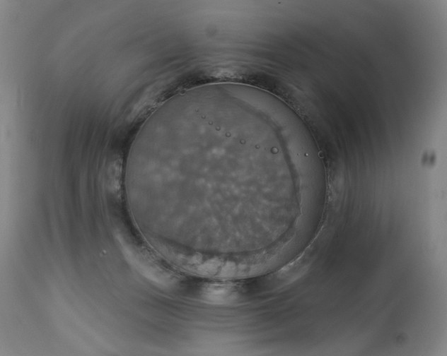 X0000113230175200909241531