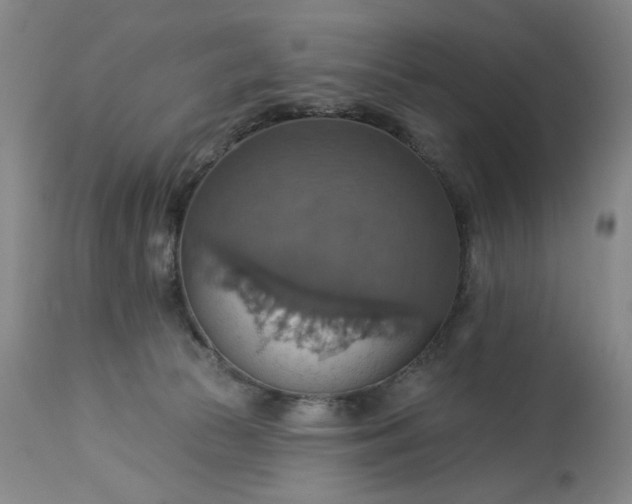 X0000113230177200909241531