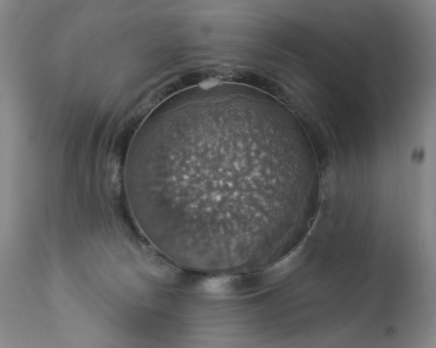 X0000113230178200909241531