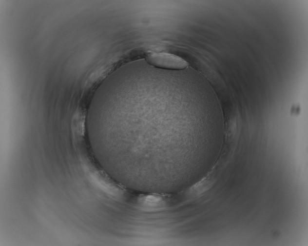 X0000113230180200909241531