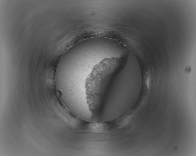 X0000113230181200909241531