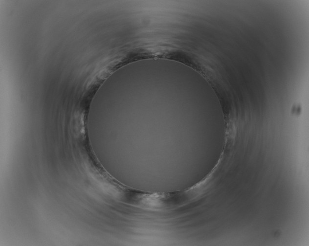 X0000113230182200909241531