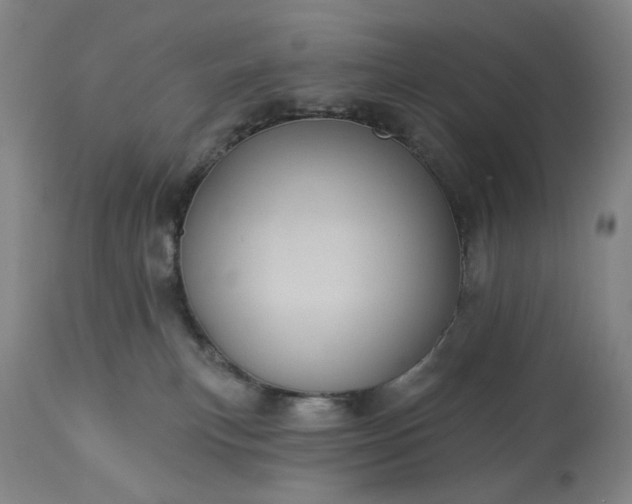 X0000113230183200909241531