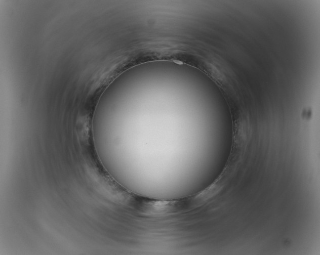 X0000113230184200909241531