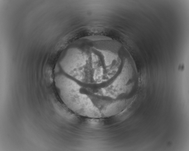 X0000113230187200909241531