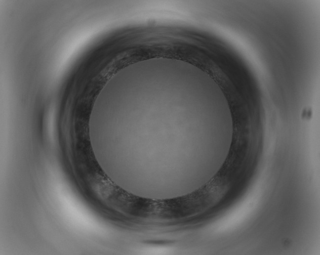 X0000113230189200909241531