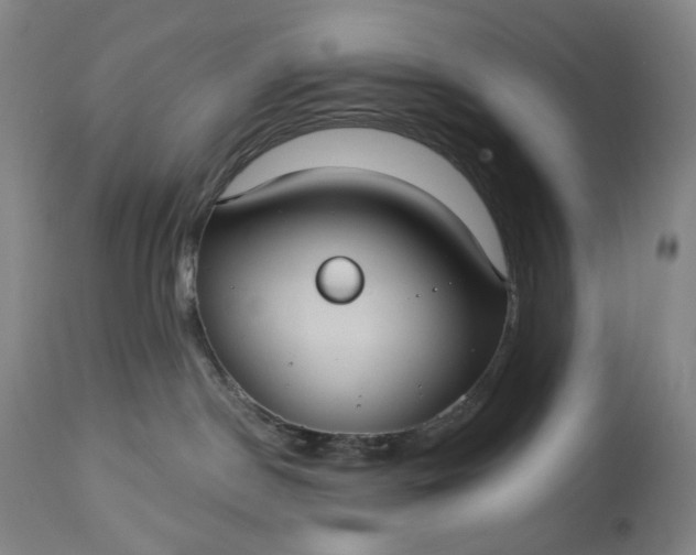 X0000113230190200909241531