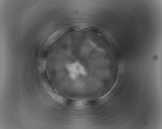 X0000113230191200909241531