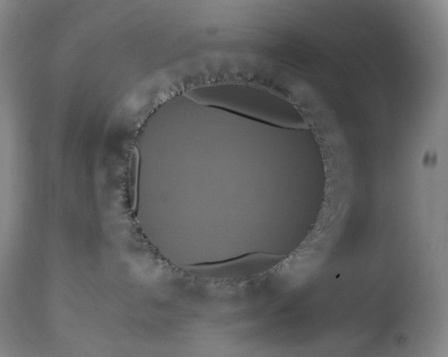 X0000113230192200909241531