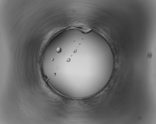 X0000113230193200909241530