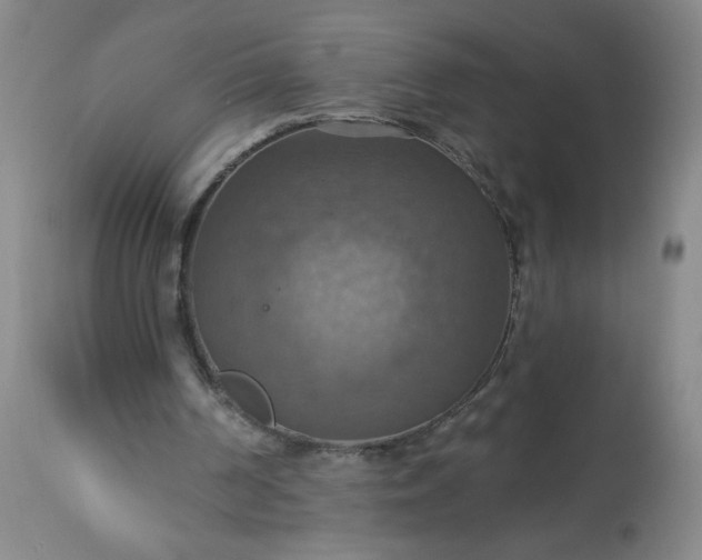 X0000113230194200909241530