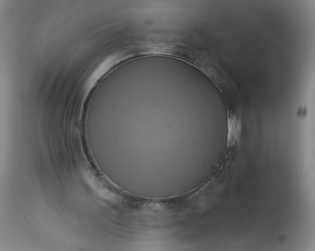 X0000113230195200909241530