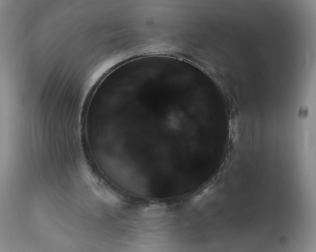 X0000113230196200909241530