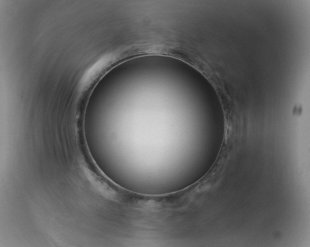 X0000113230197200909241530