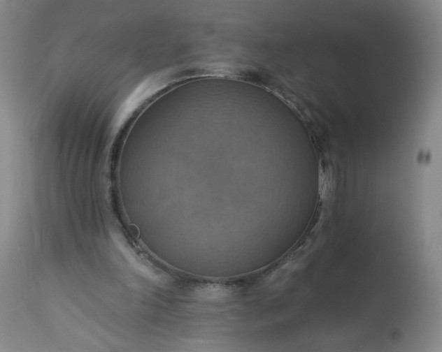 X0000113230198200909241530