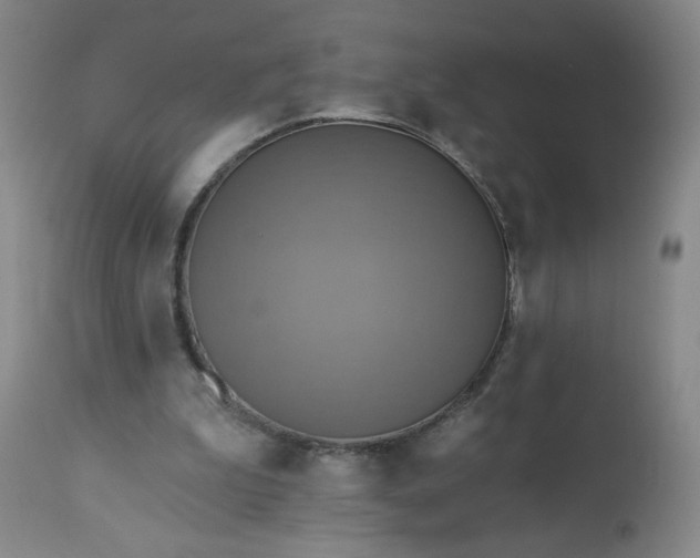 X0000113230199200909241530