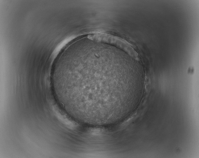 X0000113230200200909241530