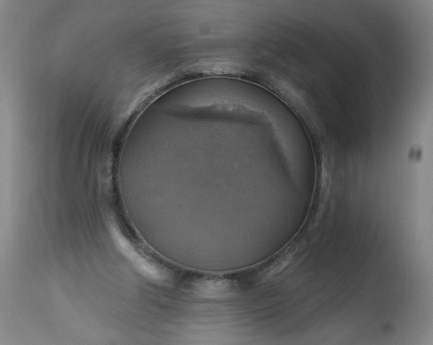 X0000113230202200909241530