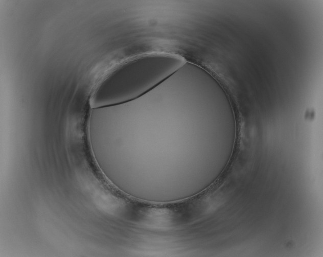 X0000113230203200909241530