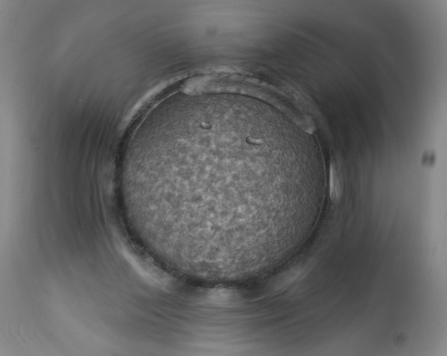 X0000113230204200909241530