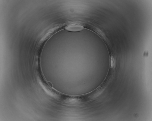 X0000113230205200909241530