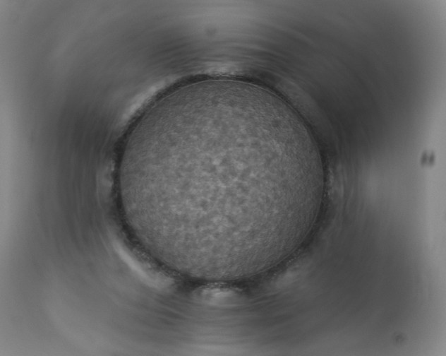 X0000113230208200909241530