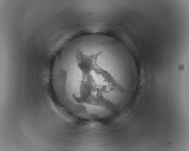 X0000113230210200909241530