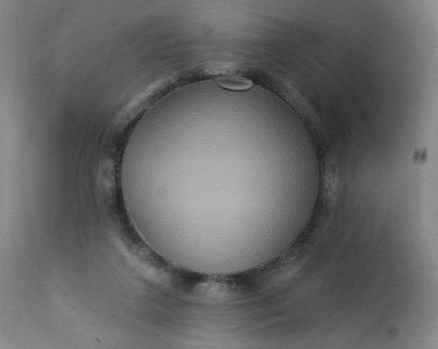 X0000113230211200909241530