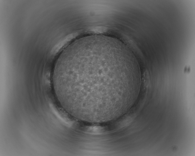 X0000113230212200909241530