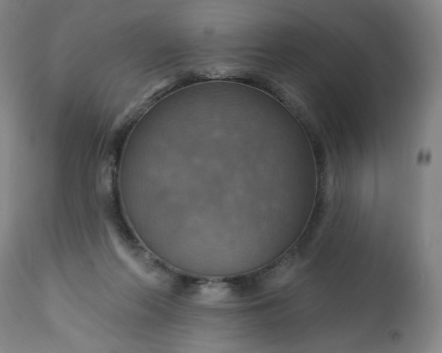 X0000113230214200909241530