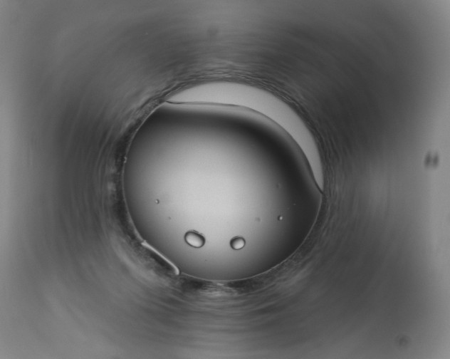 X0000113230215200909241530