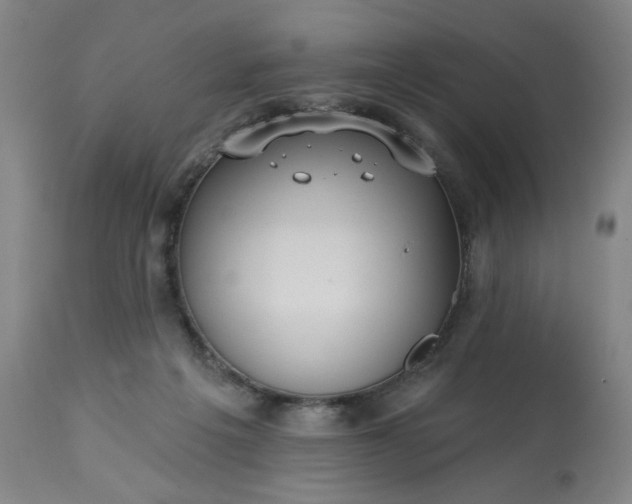 X0000113230217200909241530