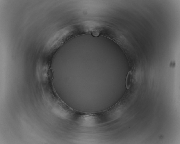 X0000113230219200909241530