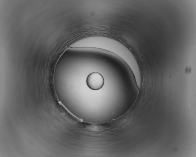 X0000113230221200909241530