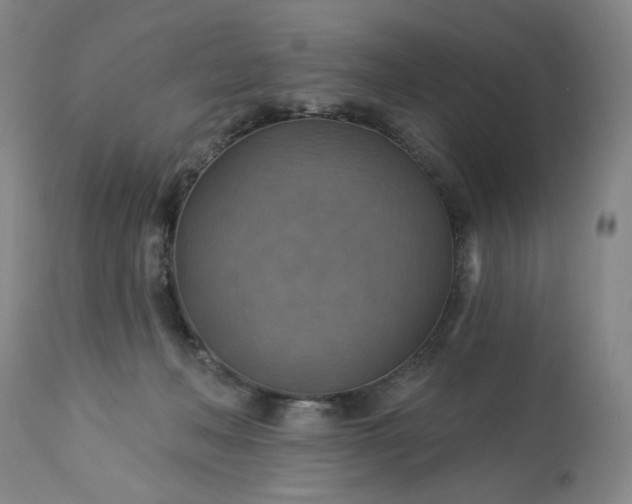 X0000113230222200909241530